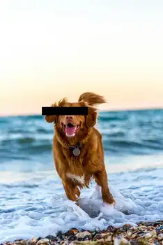 Dit is een test homepage van Jan - Bedrijfsnaam BV Beerta